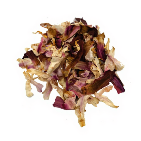 Dried White Lotus Flowers