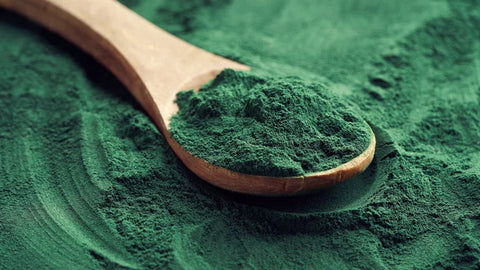 spirulina.webp